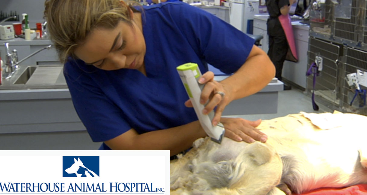 Waterhouse Animal Hospital