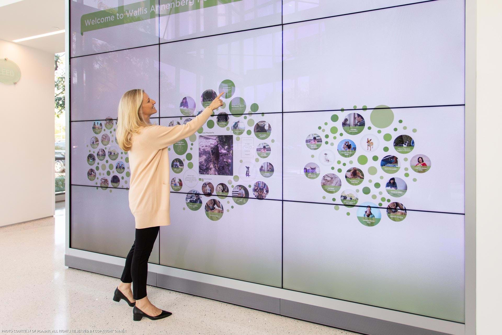 Wallis Annenberg Petspace, Playa Vista, Ca. Interactive Clarity Matrix