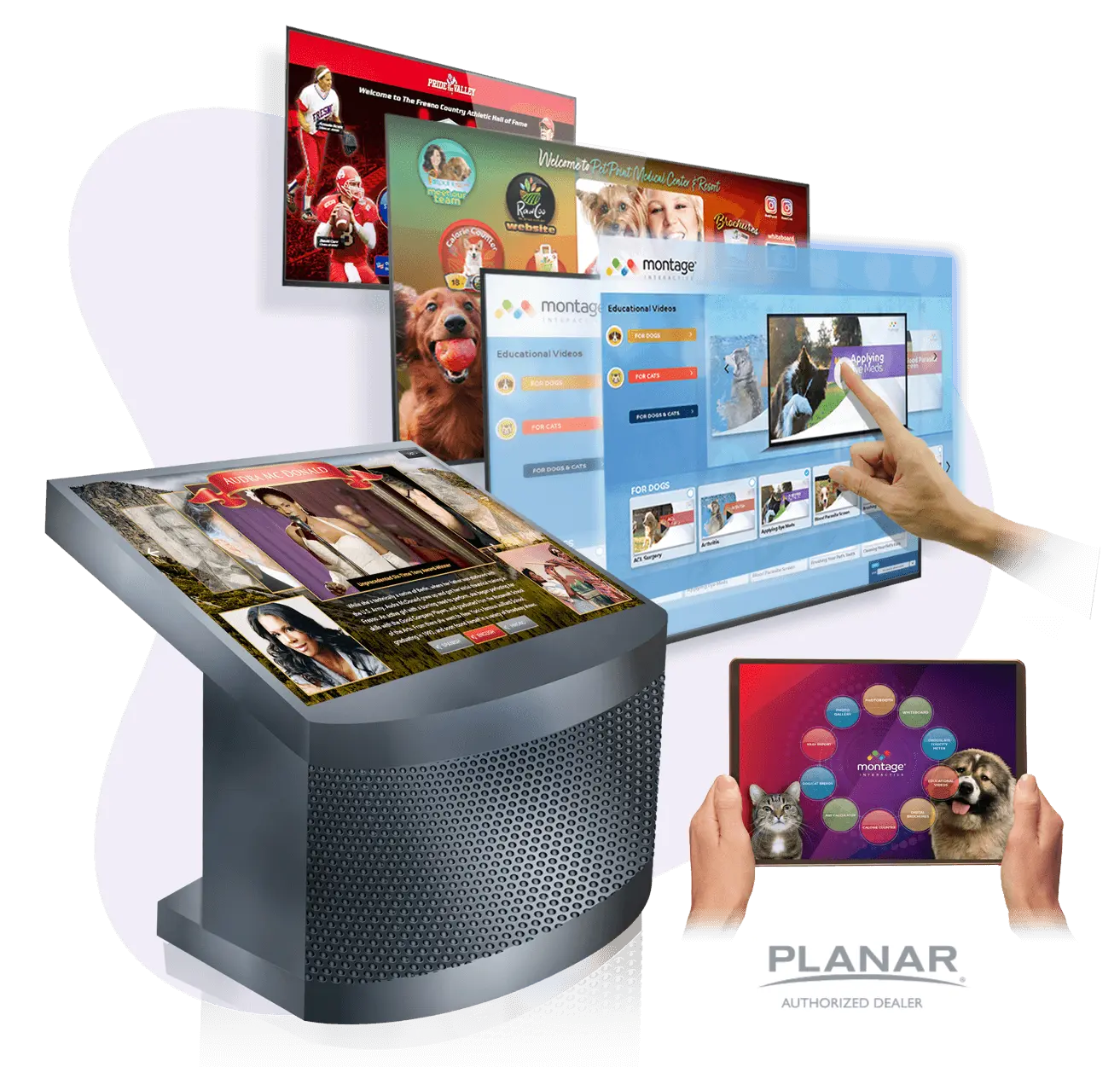 Digital Displays - Montage Interactive Displays